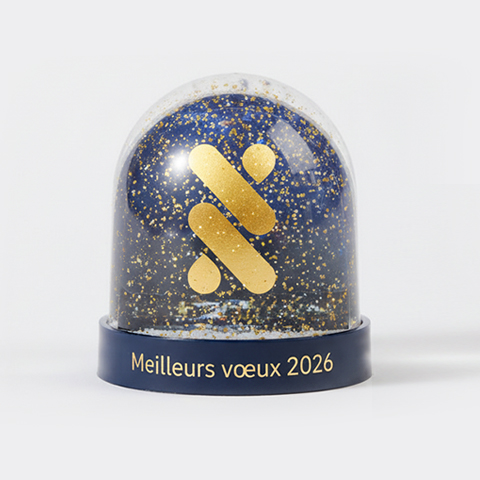 Voeux SFMV - Très belle année 2026 à toutes et à tous