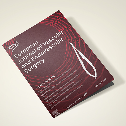 Journées pratiques mysfmv à Toulouse