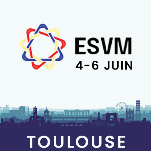 Journées pratiques mysfmv à Toulouse